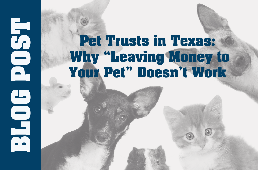 Pet Trusts Can Be Part of Any Estate Plan